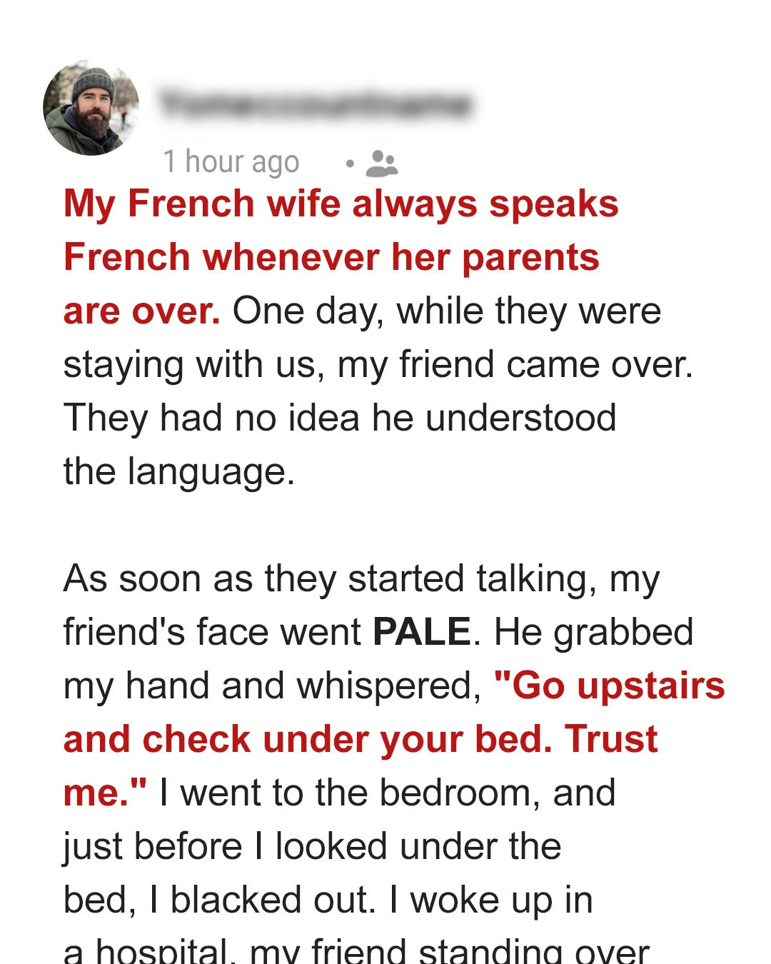 I Asked My Friend to Come over & His Ability to Speak French Revealed a Startling Family Drama