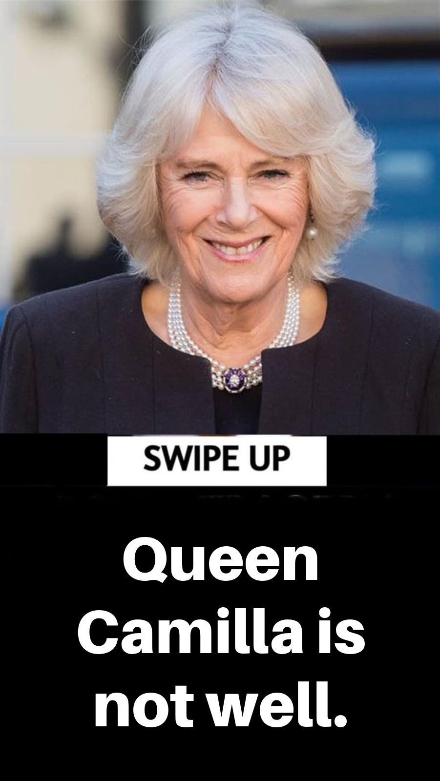 Queen Camilla Receives Diagnosis