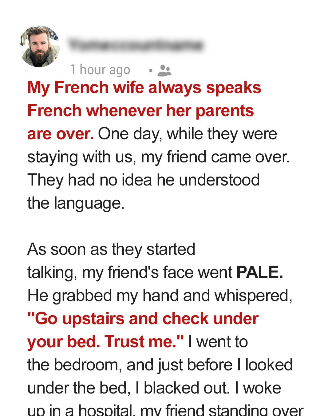 I Asked My Friend to Come over & His Ability to Speak French Revealed a Startling Family Drama