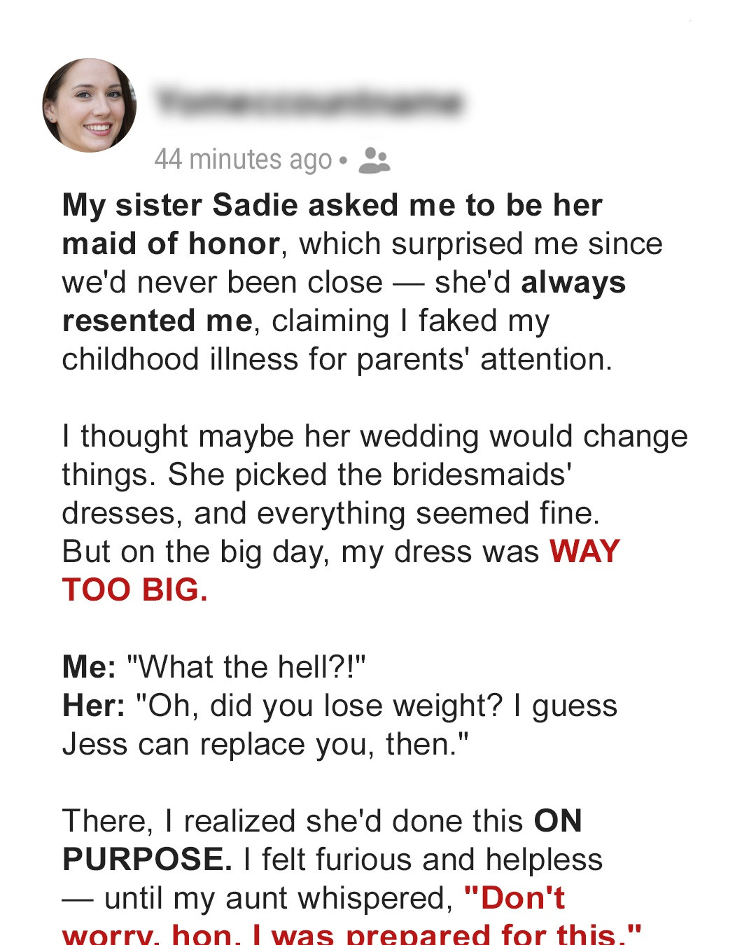 My Sister Tried to Set Me up with a Bridesmaid Dress, but She Didn’t Expect I’d Fix It