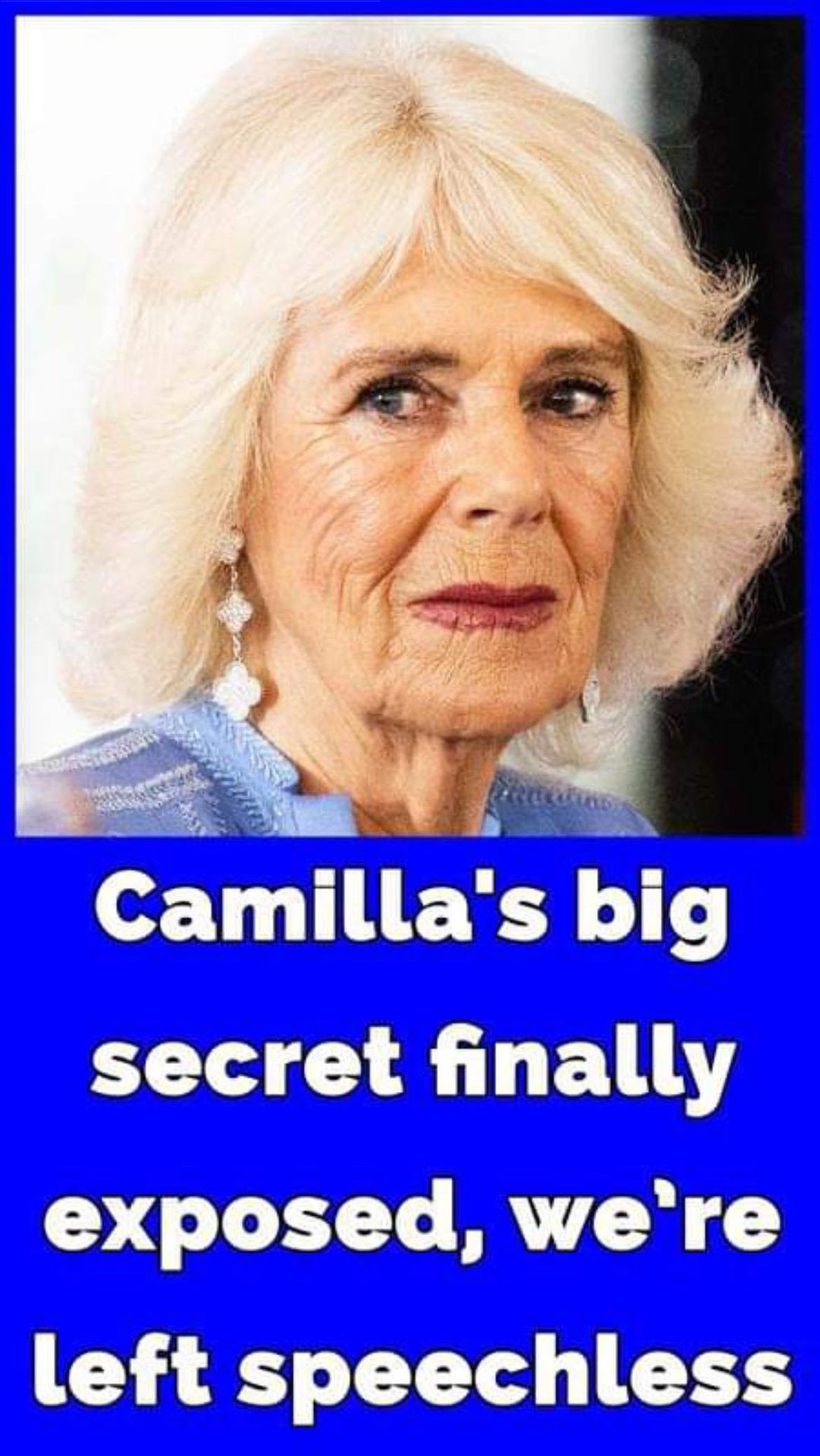 Queen Camilla’s sister Annabel Elliot reveals rare details about King Charles’ marriage