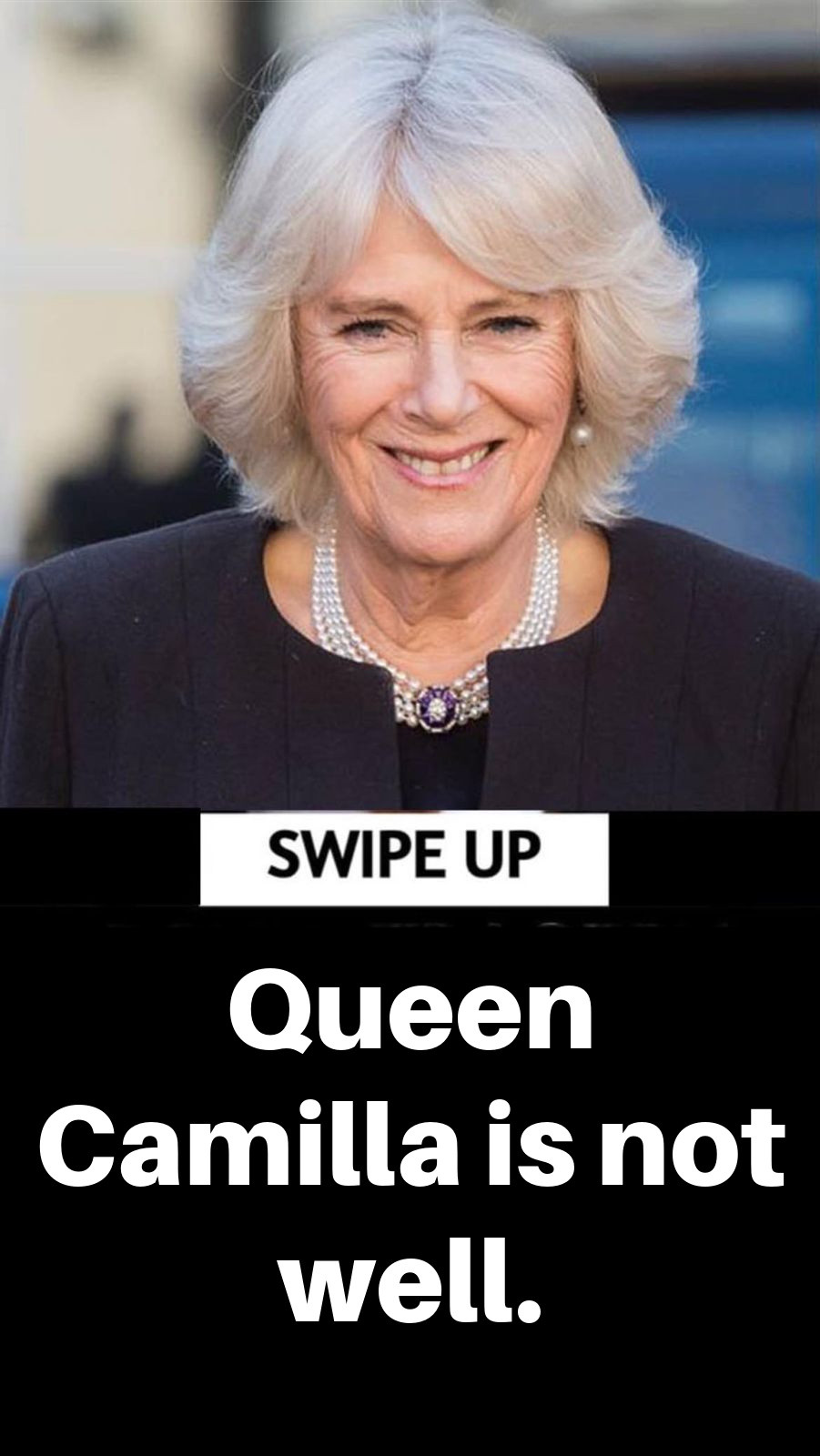 Queen Camilla Receives Diagnosis