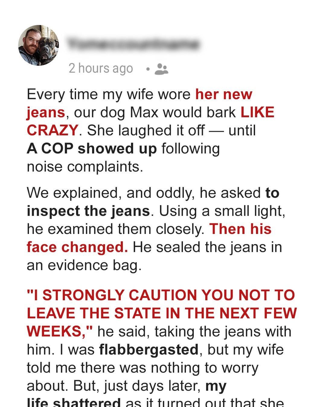 My Dog Changed My Life Forever after He Started Barking Uncontrollably at My Wife’s New Jeans & Revealed Her Secret