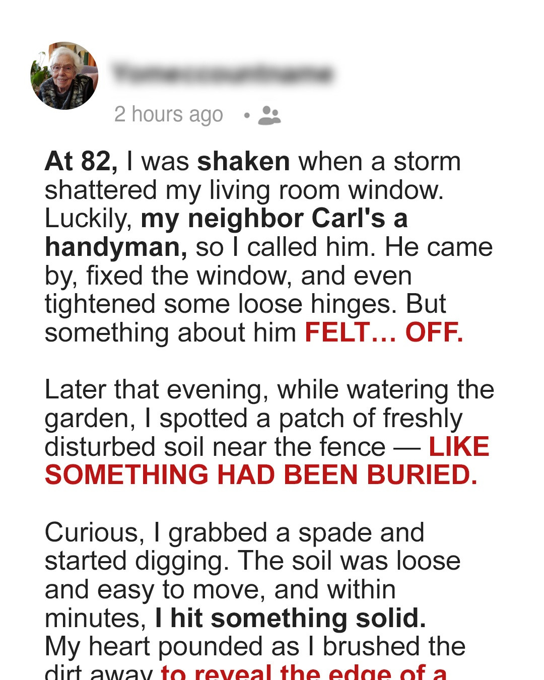 Neighbor Handyman Came to Fix My Broken Window – What He Left behind in My Garden Was Unthinkable