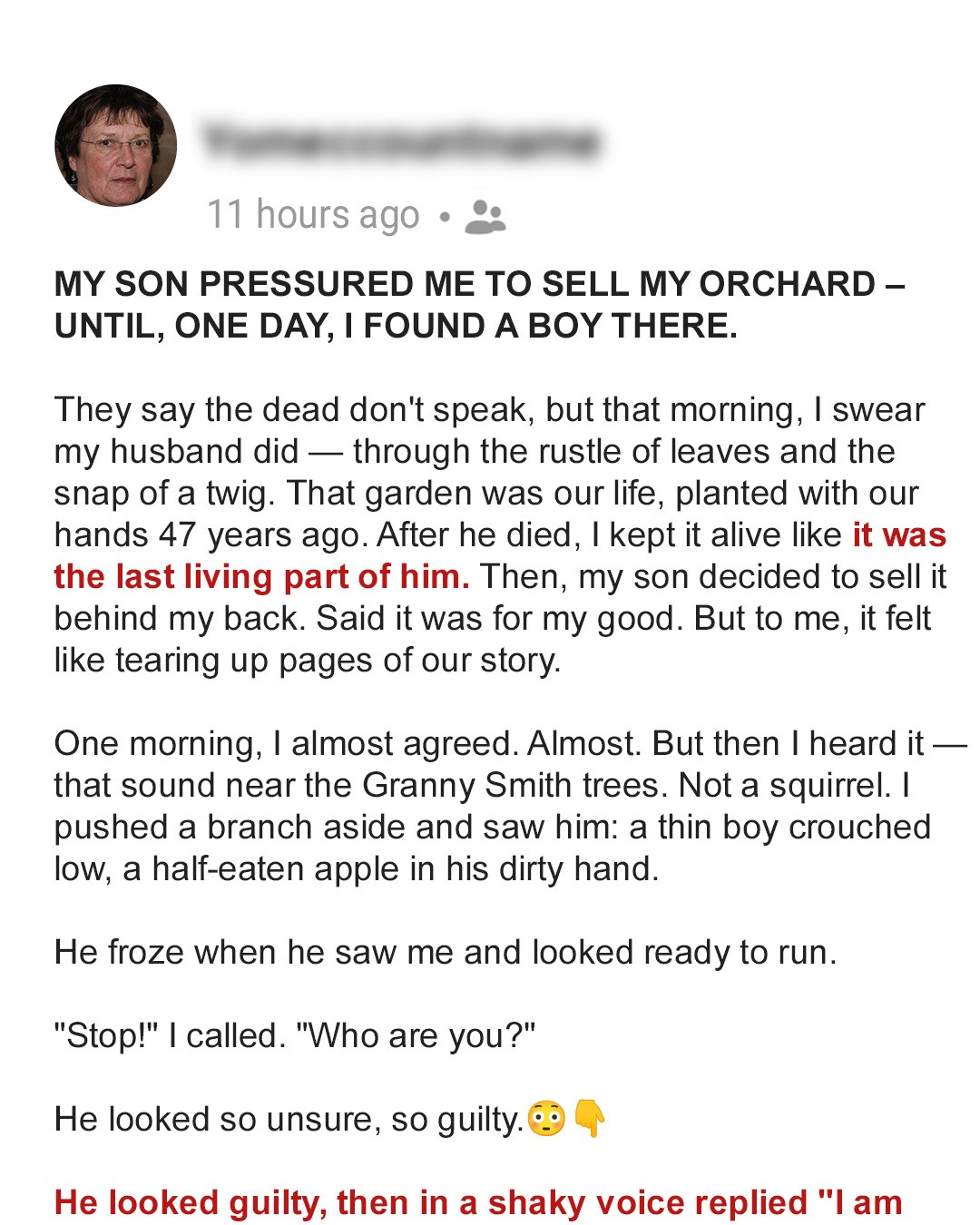 I Was Ready to Give Up on My Orchard – Until a Lonely Boy Reminded Me What Home Really Means