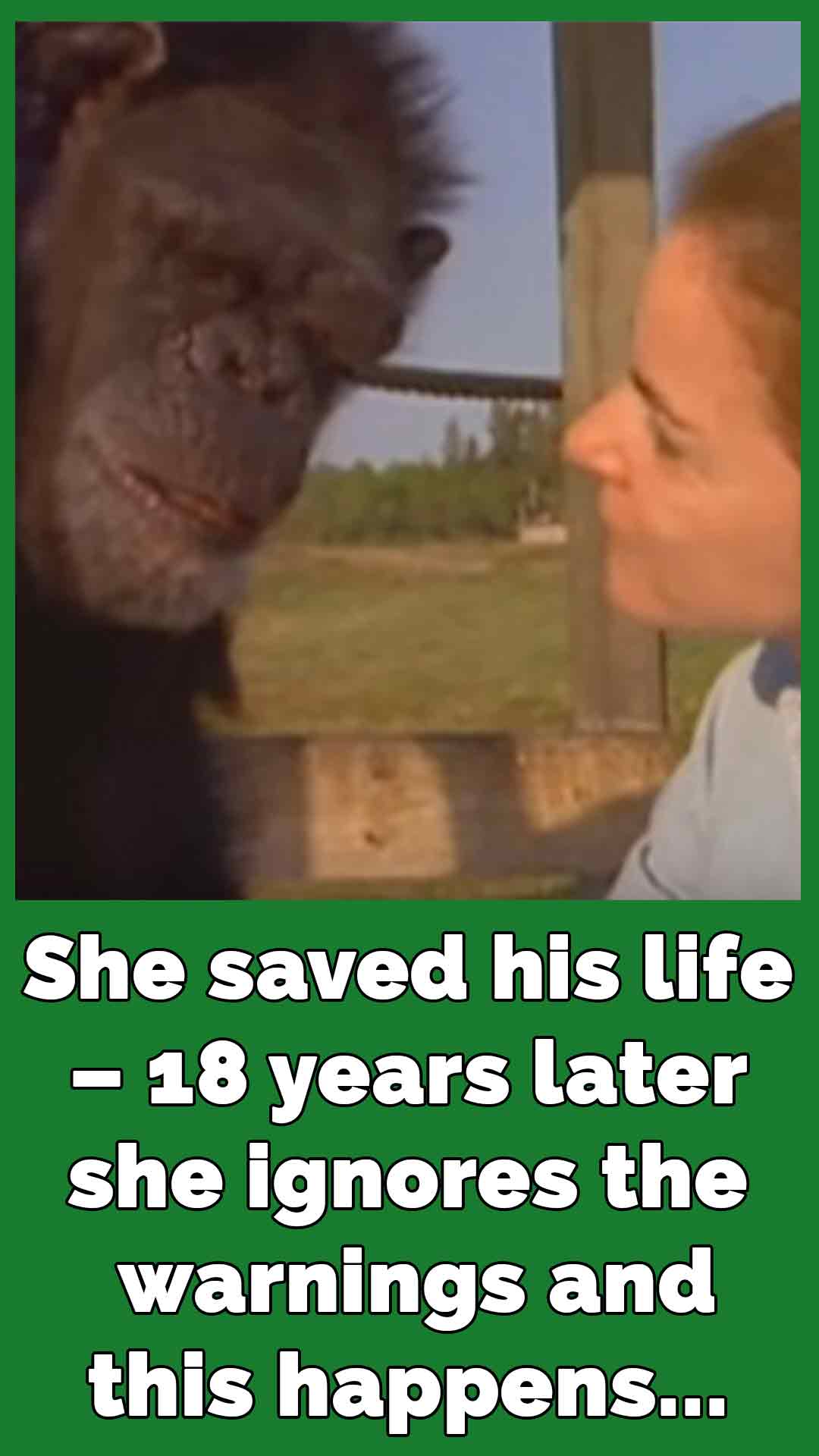 Linda saved his life – 18 years later, she ignores the warnings and the unimaginable happens