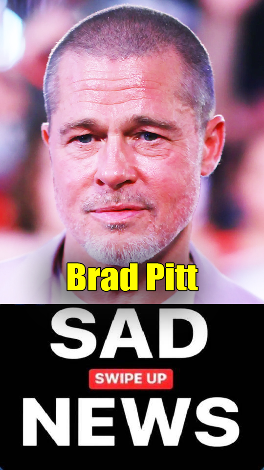 Brad Pitt and Ines de Ramon: Signs of Trouble in Paradise?