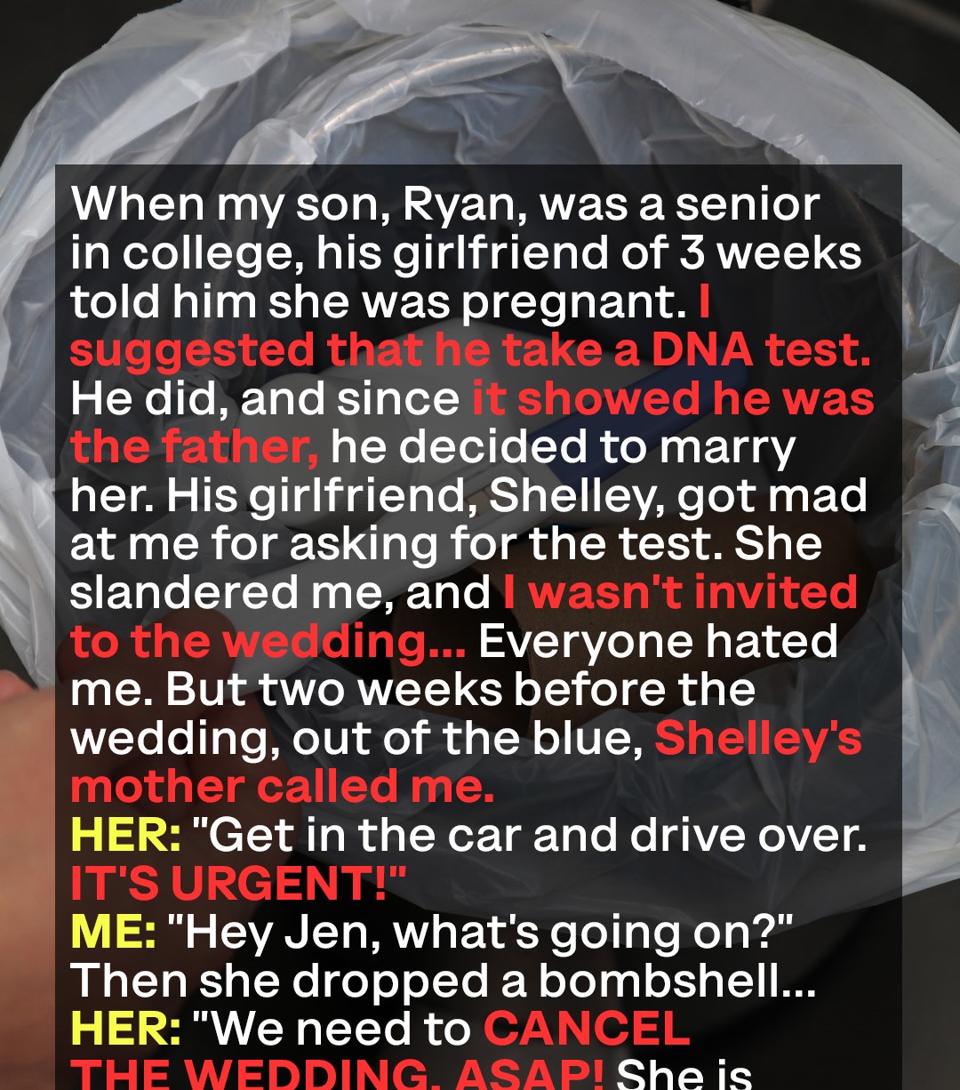 I Had My Son Do a DNA Test Which Confirmed Paternity, but Then His Fiancée’s Mother Called and Left Me Totally Shocked