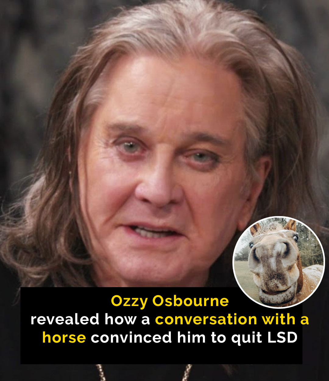 Ozzy Osbourne quit acid in early 70s after horse told him to ‘f*** off’