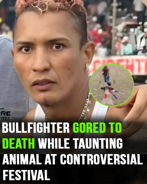 Bullfighter gored to death after taunting animal at controversial festival