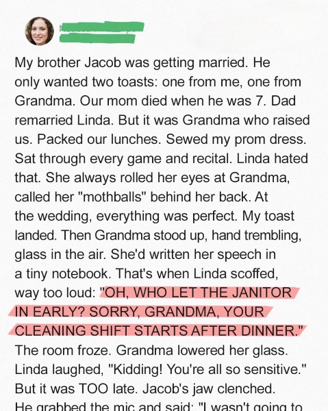My Stepmom Mocked My Grandma at My Brother’s Wedding, Unaware It Would Be Her Biggest Mistake