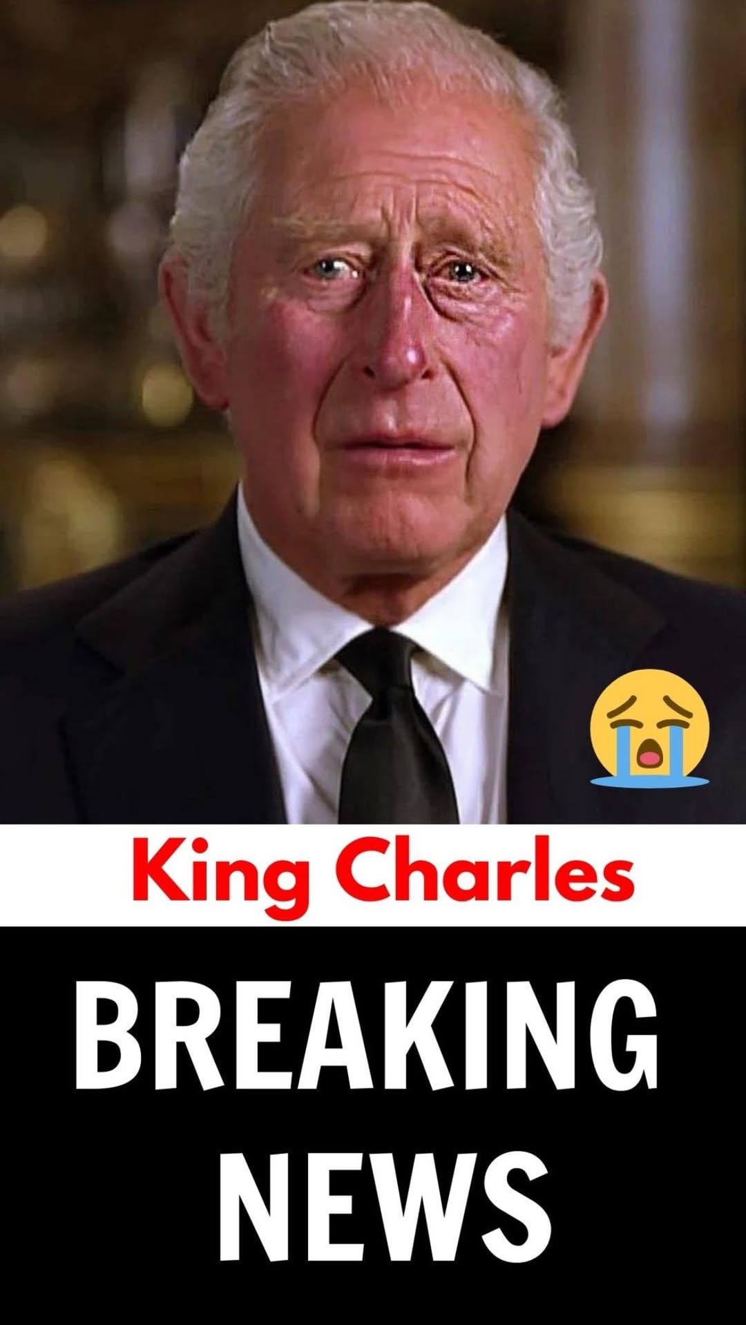 King Charles Shares a Rare Health Update on His Can.*er