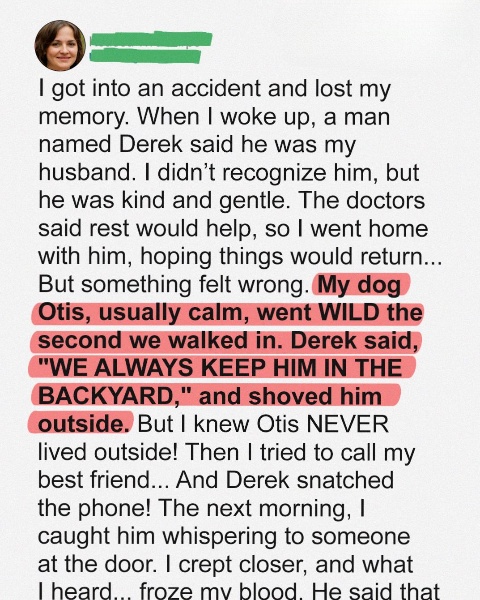 After I Lost My Memory, a Stranger Claimed to Be My Fiancé, but I Didn’t Suspect Anything Until My Dog’s Odd Reaction Made Me Doubt Him – Story of the Day
