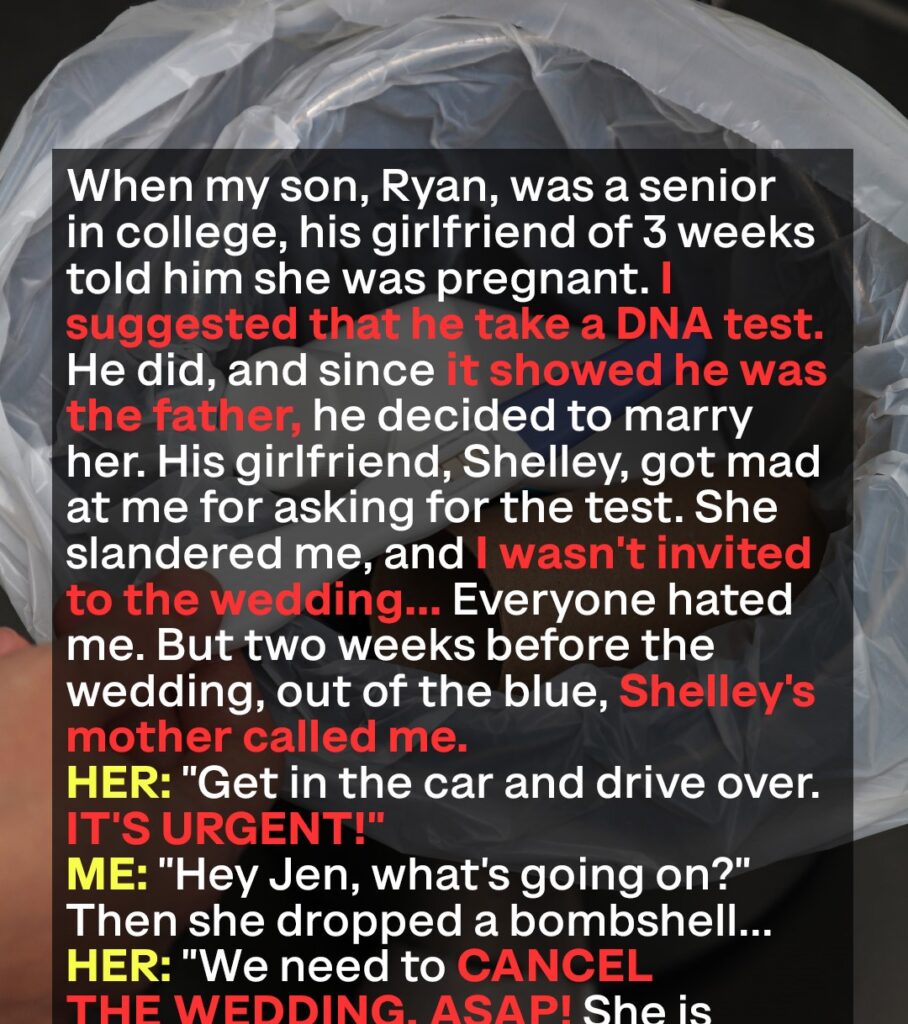 I Had My Son Do a DNA Test Which Confirmed Paternity, but Then His Fiancée’s Mother Called and Left Me Totally Shocked