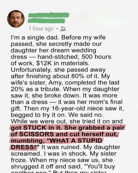 My Niece Destroyed the Wedding Dress My Late Wife Made for Our Daughter – She Was Quickly Brought Back Down to Earth