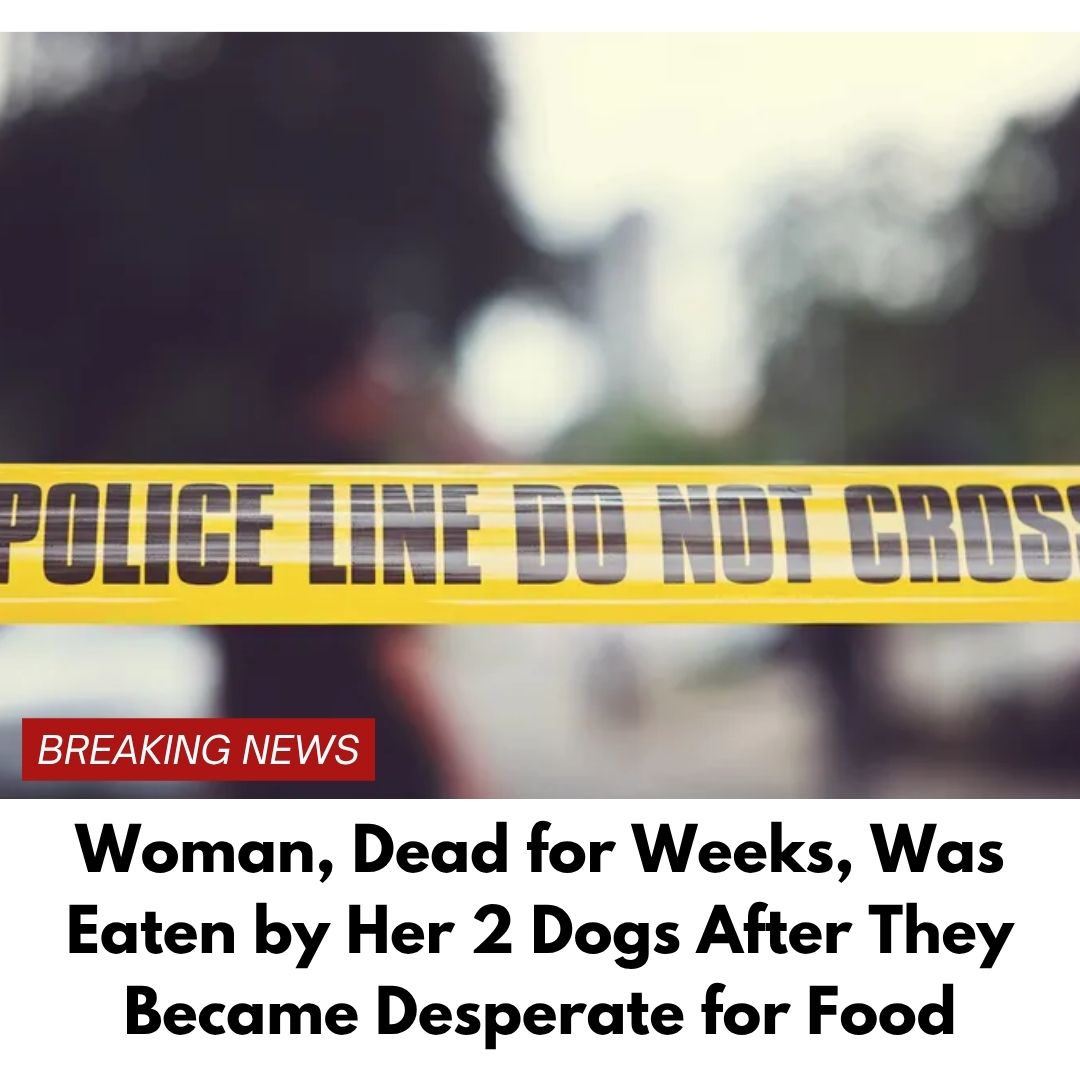 Woman, Dead for Weeks, Was Eaten by Her 2 Dogs After They Became Desperate for Food