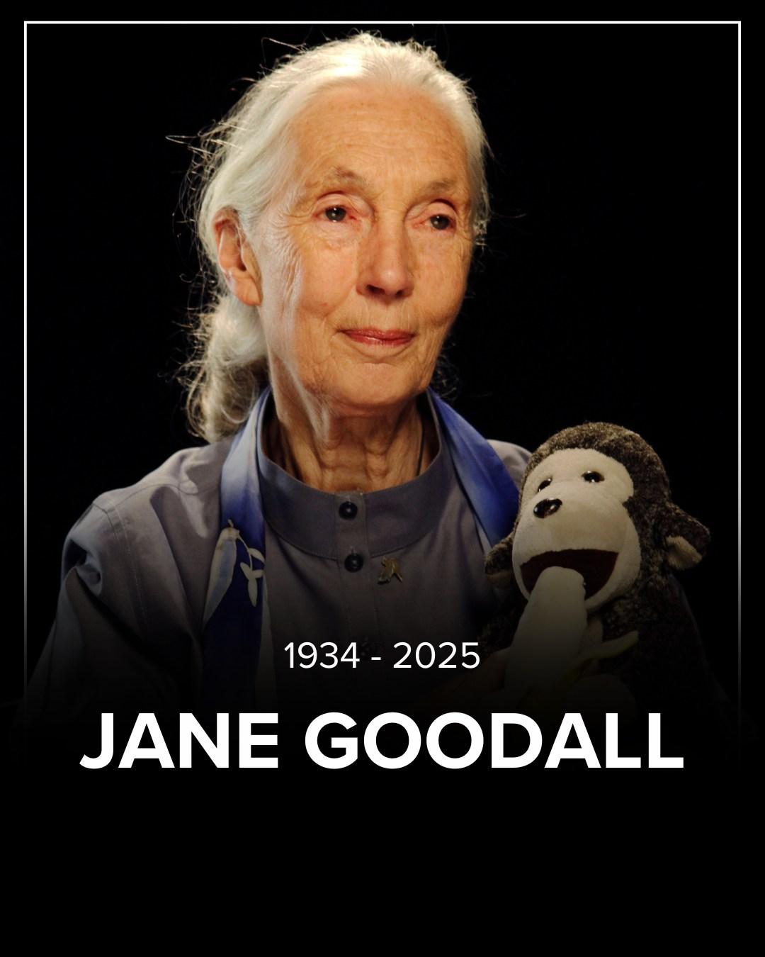 Dr. Jane Goodall, chimpanzee researcher and climate activist, dies at 91