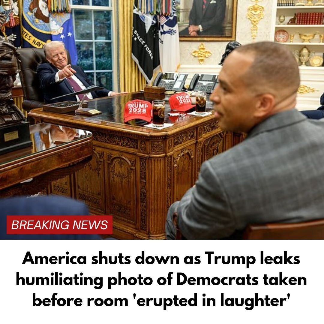 America shuts down as Trump leaks humiliating photo of Democrats taken before room ‘erupted in laughter’