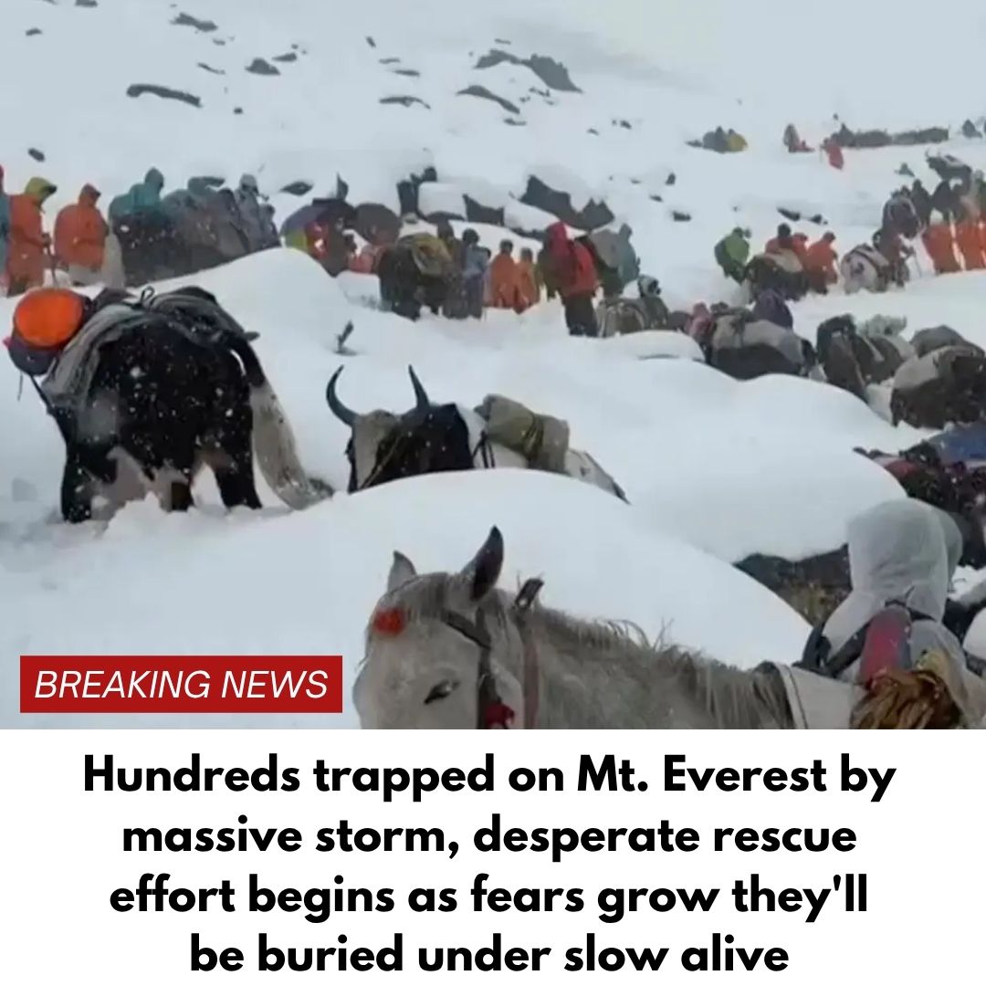 Hundreds trapped on Mt. Everest by massive storm, desperate rescue effort begins as fears grow they’ll be buried under snow alive