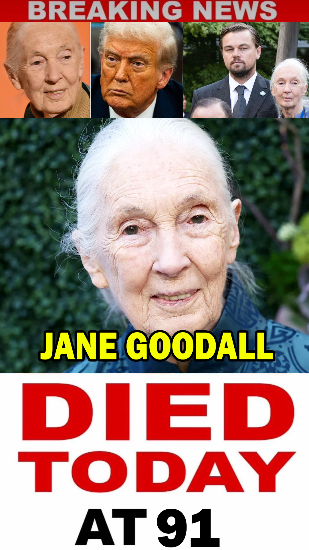 Legendary Scientist Jane Goodall Passes Away at 91