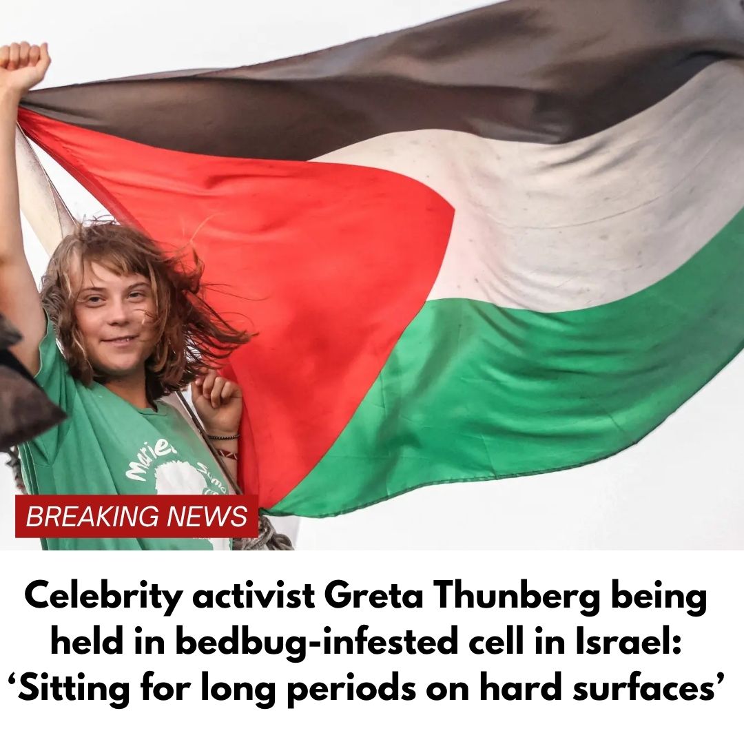 Celebrity activist Greta Thunberg being held in bedbug-infested cell in Israel: ‘Sitting for long periods on hard surfaces’