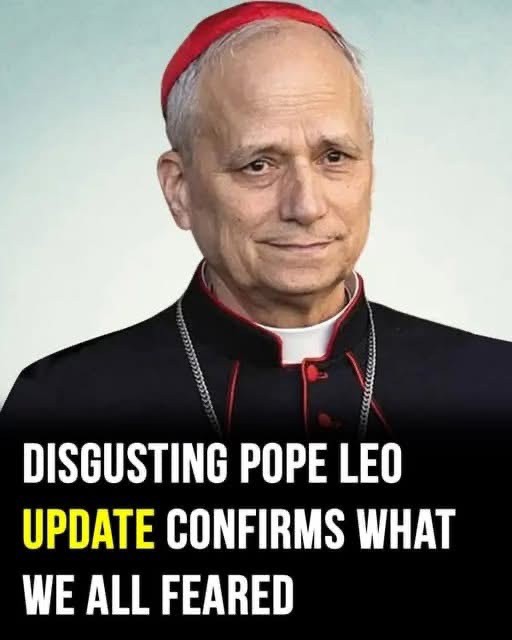 You just knew this was coming, Pope Leo News!