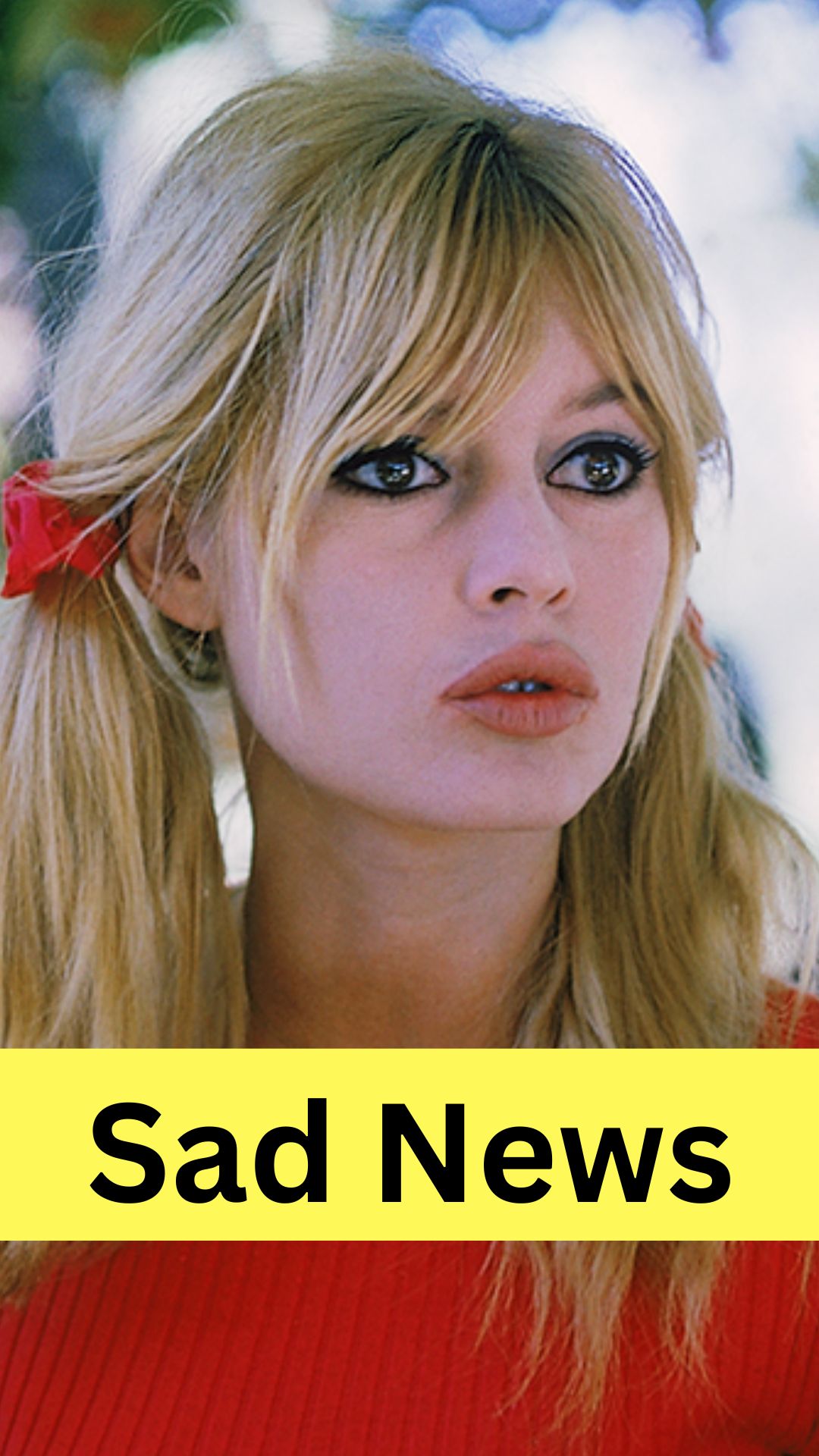 Brigitte Bardot Hospitalized After Emergency Surgery