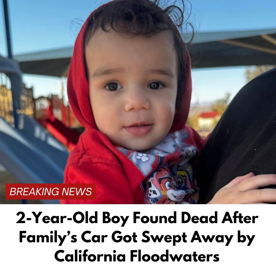 ‘He Was the Light of our Household!’- Tragedy as 2-year-old who was swept away by California floodwaters is found dead