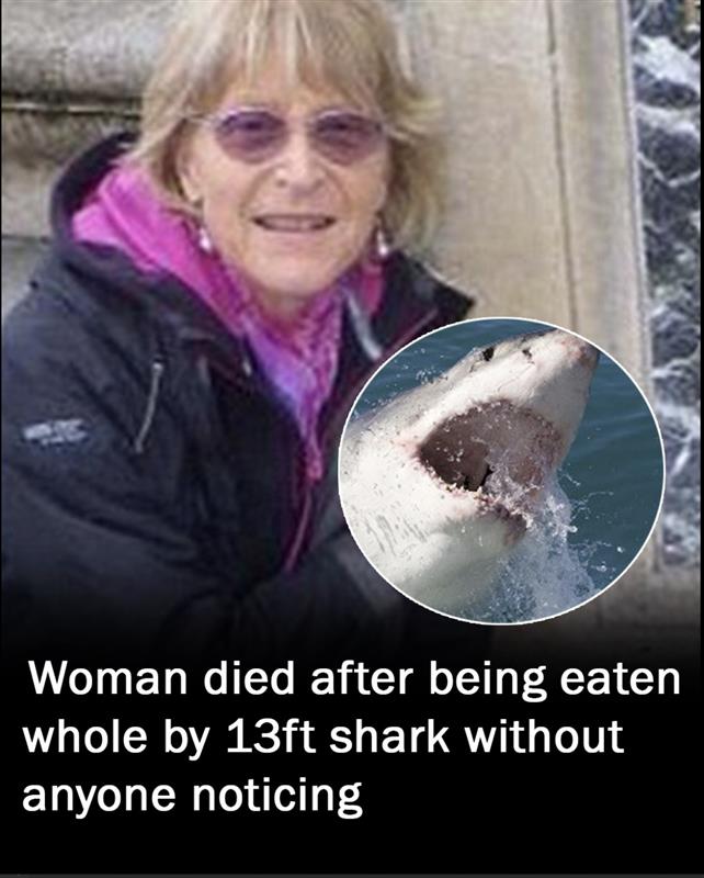 Woman eaten whole by 13ft shark during ocean swim without anyone noticing