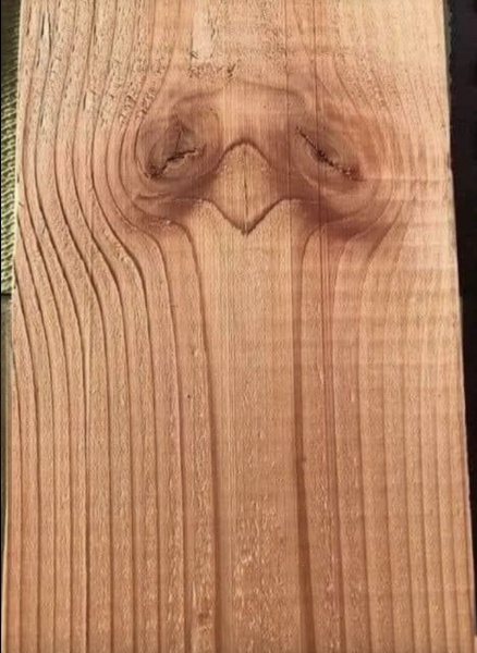 What you see first says a lot about your personality