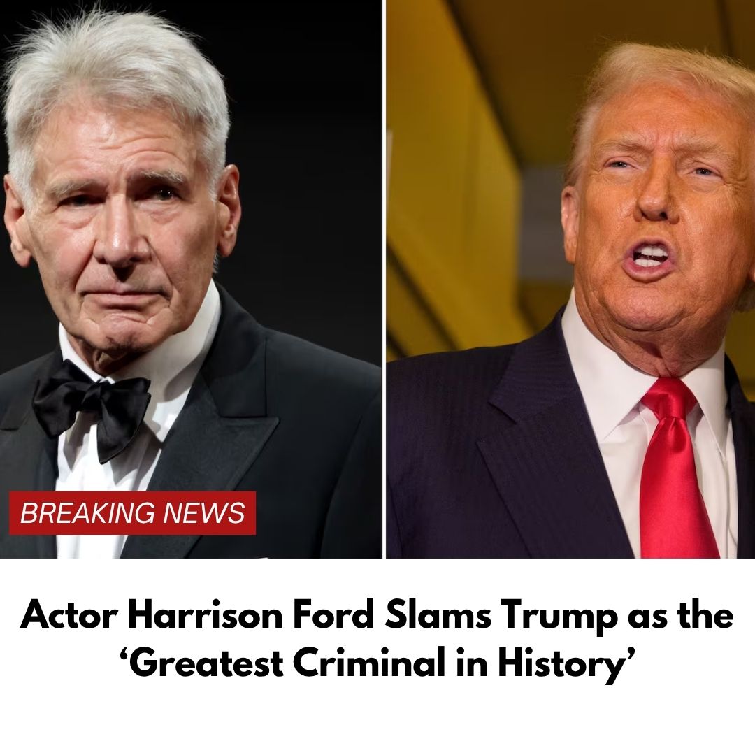 Actor Harrison Ford Slams Trump as the ‘Greatest Criminal in History’
