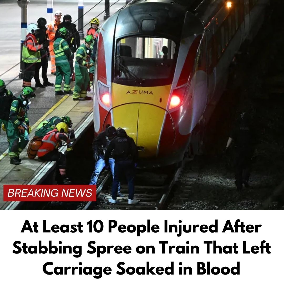 At Least 10 People Injured After Stabbing Spree on Train That Left Carriage Soaked in Blood