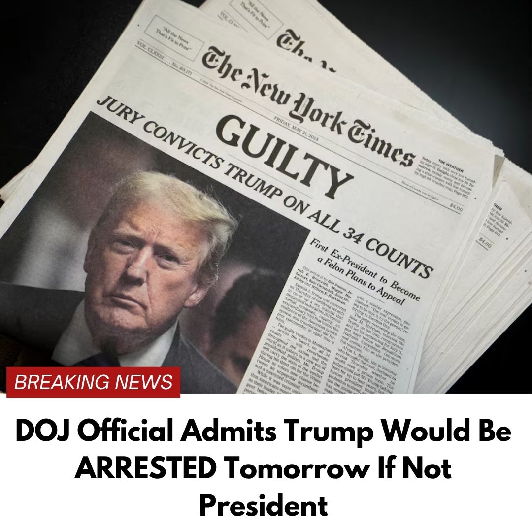 DOJ Official Admits Trump Should Be Behind Bars