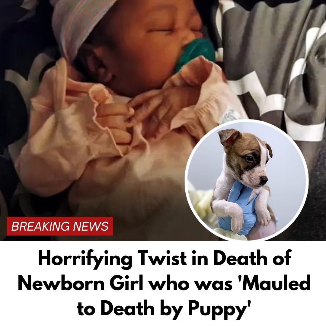 Horrifying Twist in Death of Newborn Girl who was ‘Mauled to Death by Puppy’