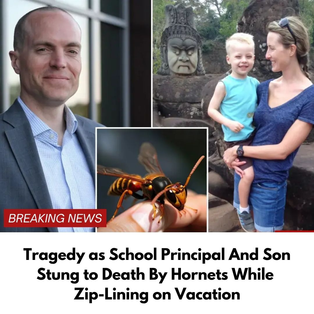 Tragedy as School Principal And Son Stung to Death By Hornets While Zip-Lining on Vacation
