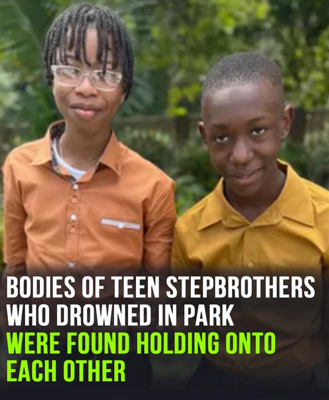 Teen stepbrothers who drowned at park were found holding onto each other