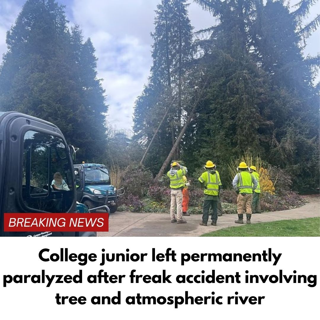College junior left permanently paralyzed after freak accident involving tree and atmospheric river