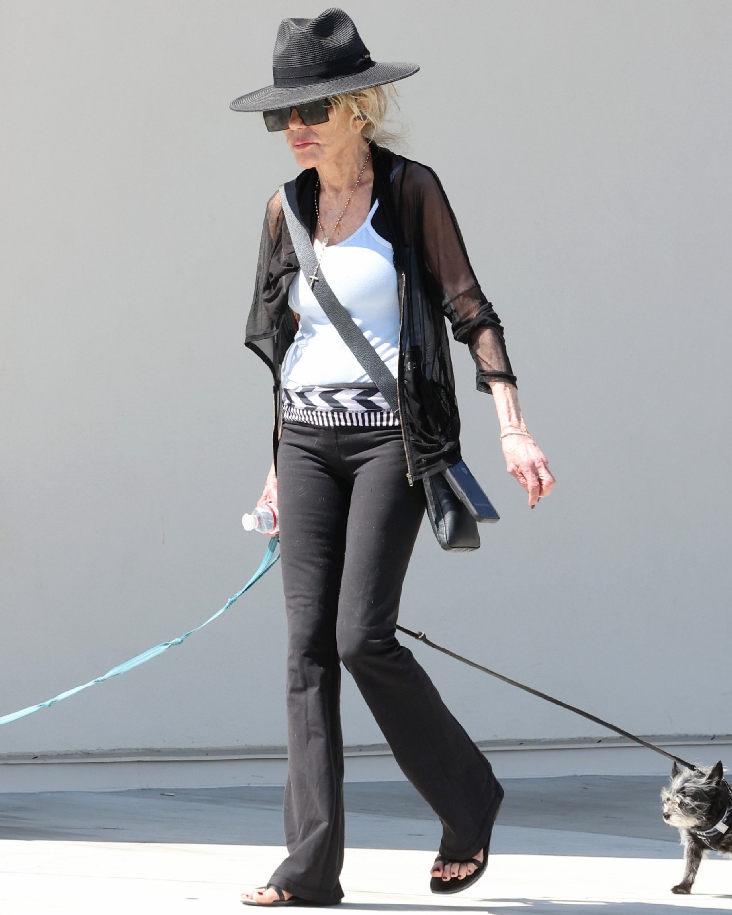 Iconic 70s actress sparks strong reactions after walking her dogs