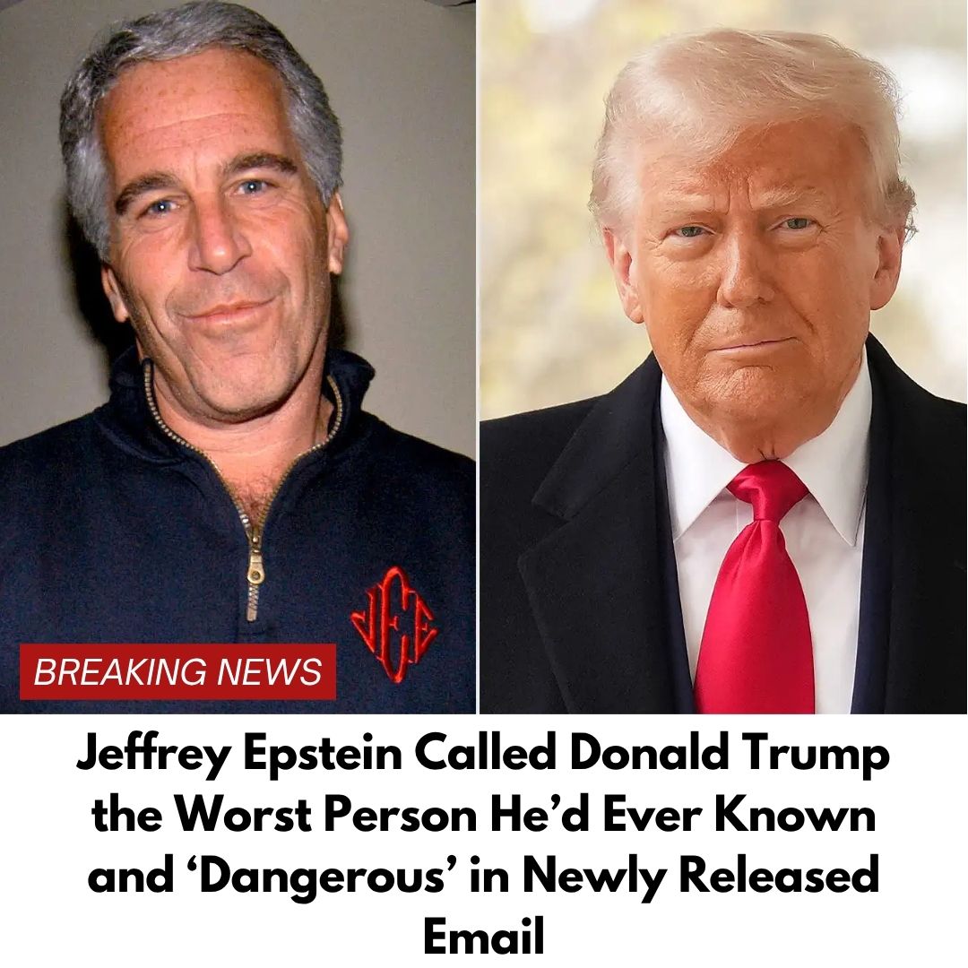 Jeffrey Epstein Called Donald Trump the Worst Person He’d Ever Known and ‘Dangerous’ in Newly Released Email