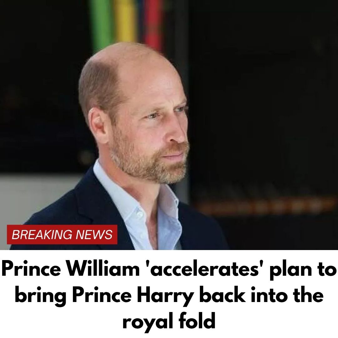 Prince William ‘accelerates’ plan to bring Prince Harry back into the royal fold