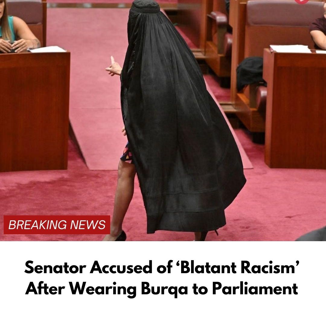Senator Accused of ‘Blatant Racism’ After Wearing Burqa to Parliament