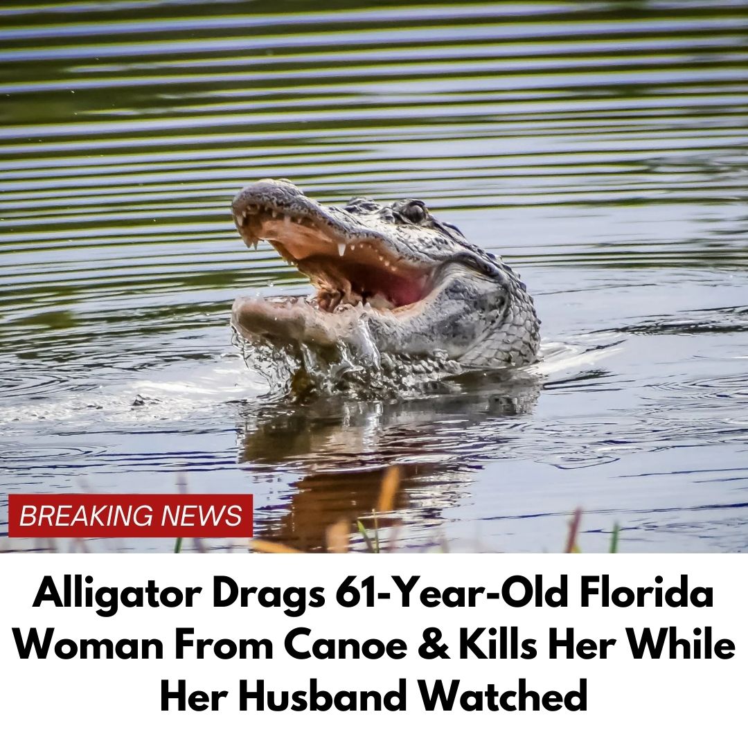 Alligator Drags 61-Year-Old Florida Woman From Canoe & Kills Her While Her Husband Watched