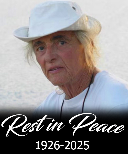 Burt Meyer, whose toys shaped generations, dies at 99