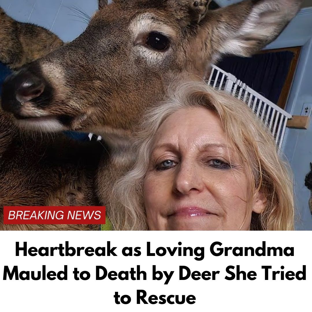 Grandma mauled to death by deer she rescued and tried to domesticate