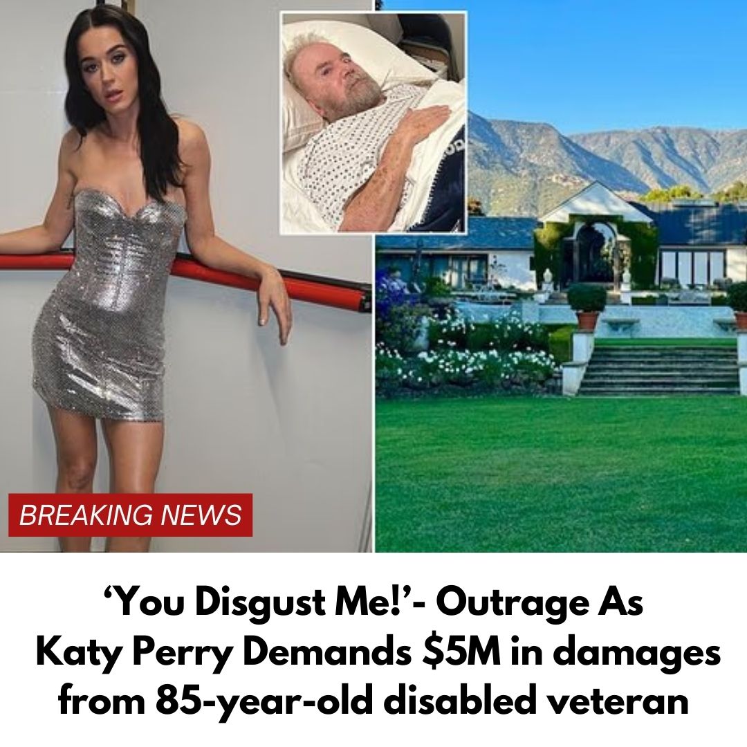 ‘You Disgust Me!’- Outrage As Katy Perry Demands $5M in damages from 85-year-old disabled veteran