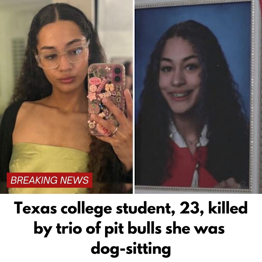 23-Year-Old Texas College Student KILLED by Trio of Pit Bulls She was Dog-Sitting