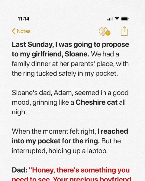 My Girlfriend’s Entitled Father Tried to Set Me up to Break Us Apart, but He Ended Up Kneeling in Front of Me Instead