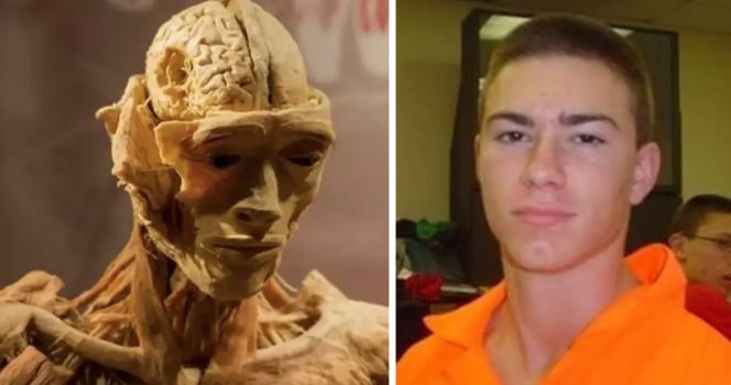 Museum issues response after mom claims she saw son’s “skinned” body displayed