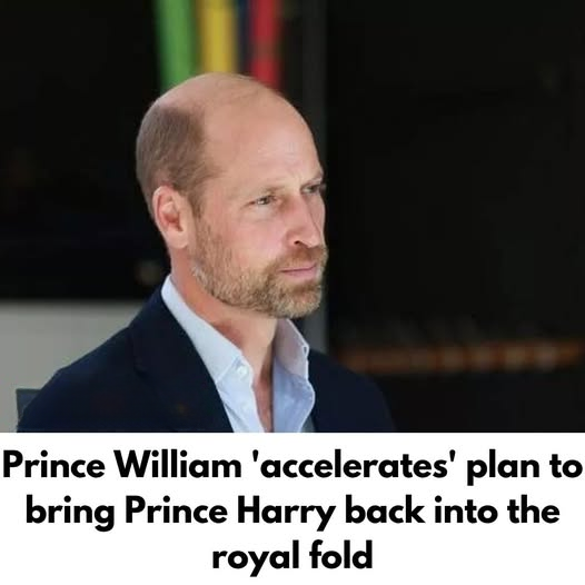 Prince William ‘accelerates’ plan to bring Prince Harry back into the royal fold