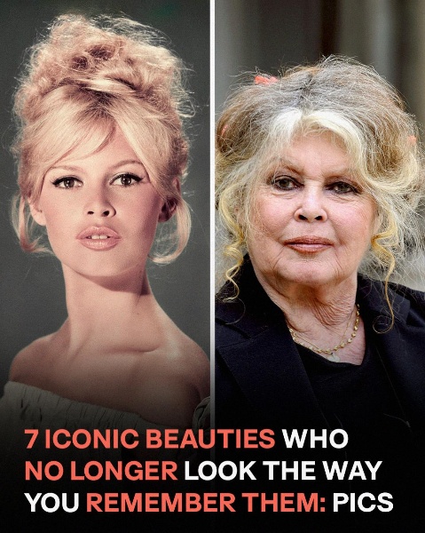 7 Beauties of the Past: How Famous Actresses Have Changed over Decades